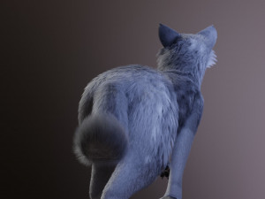 ranky the gray wolf 3Dモデル