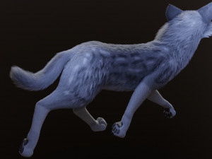 ranky the gray wolf 3Dモデル
