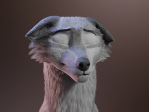 ranky the gray wolf 3Dモデル