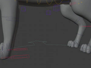 Rank il lupo grigio Modello 3D