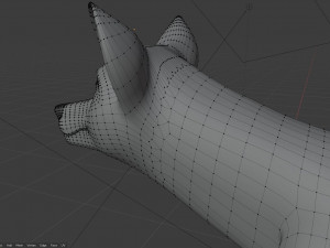 ranky the gray wolf 3Dモデル