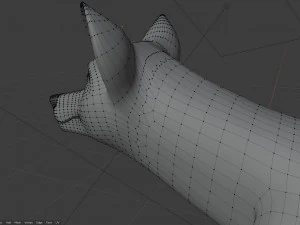 Rank il lupo grigio Modello 3D