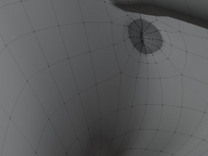 ranky the gray wolf 3Dモデル