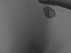 Rank il lupo grigio Modello 3D