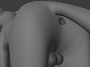 ranky the gray wolf 3Dモデル