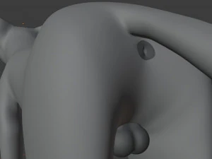 Rank il lupo grigio Modello 3D