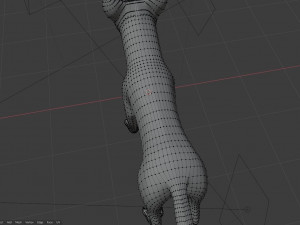 ranky the gray wolf 3Dモデル