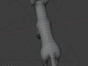 Rank il lupo grigio Modello 3D