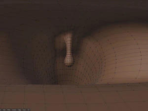 Rank il lupo grigio Modello 3D