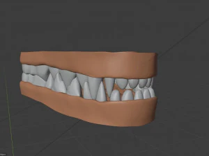 Rank il lupo grigio Modello 3D