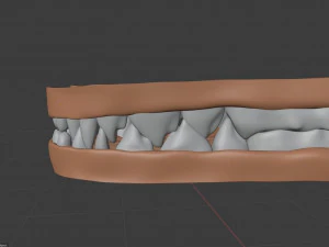 Rank il lupo grigio Modello 3D