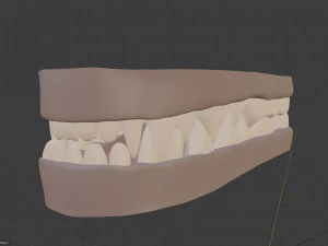 Rank il lupo grigio Modello 3D