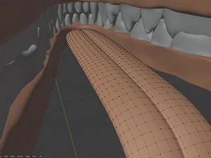 Rank il lupo grigio Modello 3D