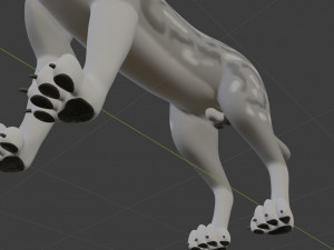 ranky the gray wolf 3Dモデル