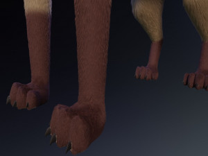 takoda the fox Modello 3D