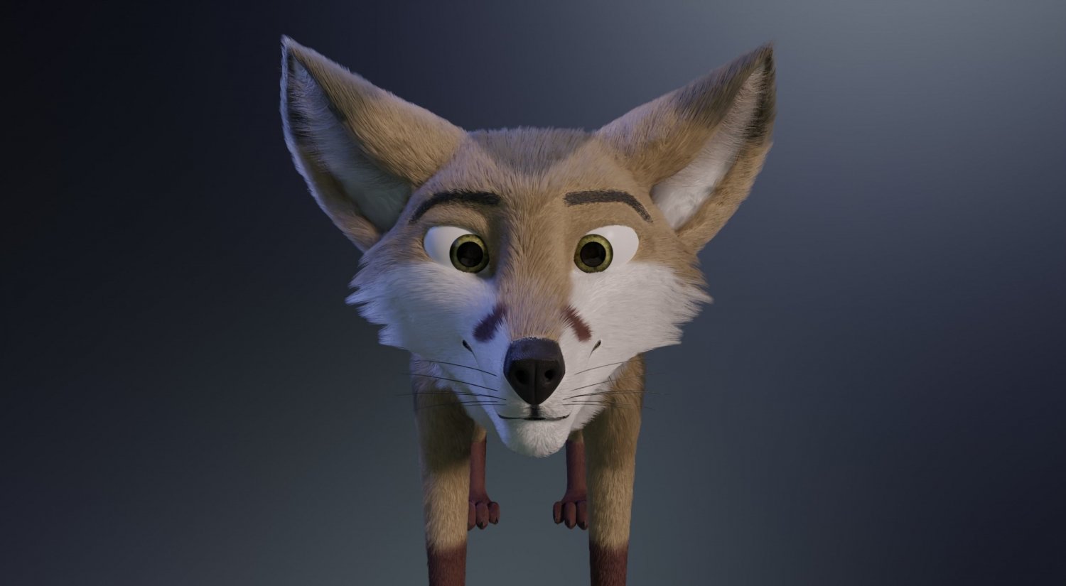 Fox 3d model. Rexwind furry.