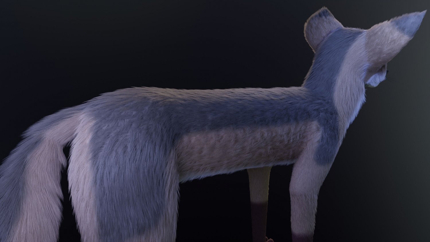 Fox 3d model