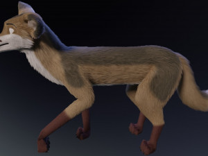 takoda the fox Modello 3D