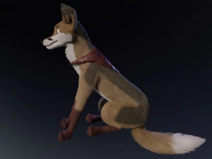 Takoda la volpe Modello 3D