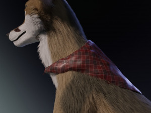 takoda the fox Modello 3D