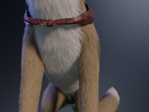 takoda the fox Modello 3D