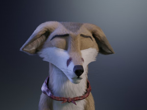 takoda the fox Modello 3D