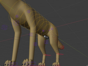 takoda the fox Modello 3D