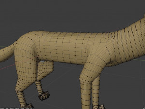 takoda the fox Modello 3D