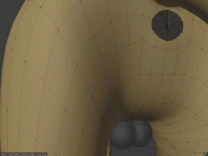 Takoda la volpe Modello 3D