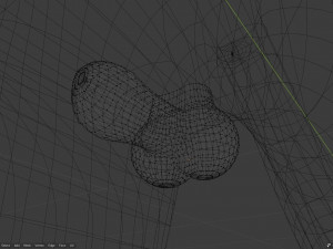 takoda the fox Modello 3D