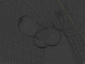 Takoda la volpe Modello 3D