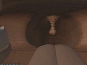 Takoda la volpe Modello 3D