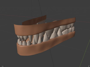 takoda the fox Modello 3D