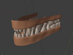 Takoda la volpe Modello 3D