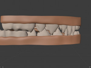takoda the fox Modello 3D
