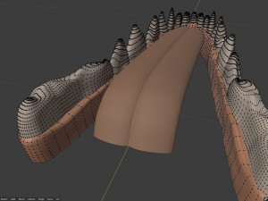 takoda the fox Modello 3D
