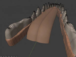 Takoda la volpe Modello 3D