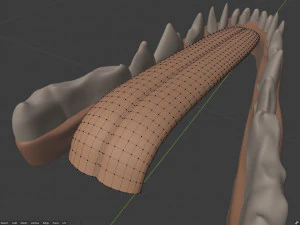 Takoda la volpe Modello 3D