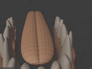 Takoda la volpe Modello 3D