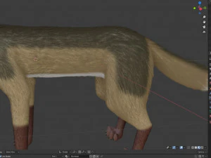 Takoda la volpe Modello 3D