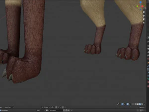 Takoda la volpe Modello 3D