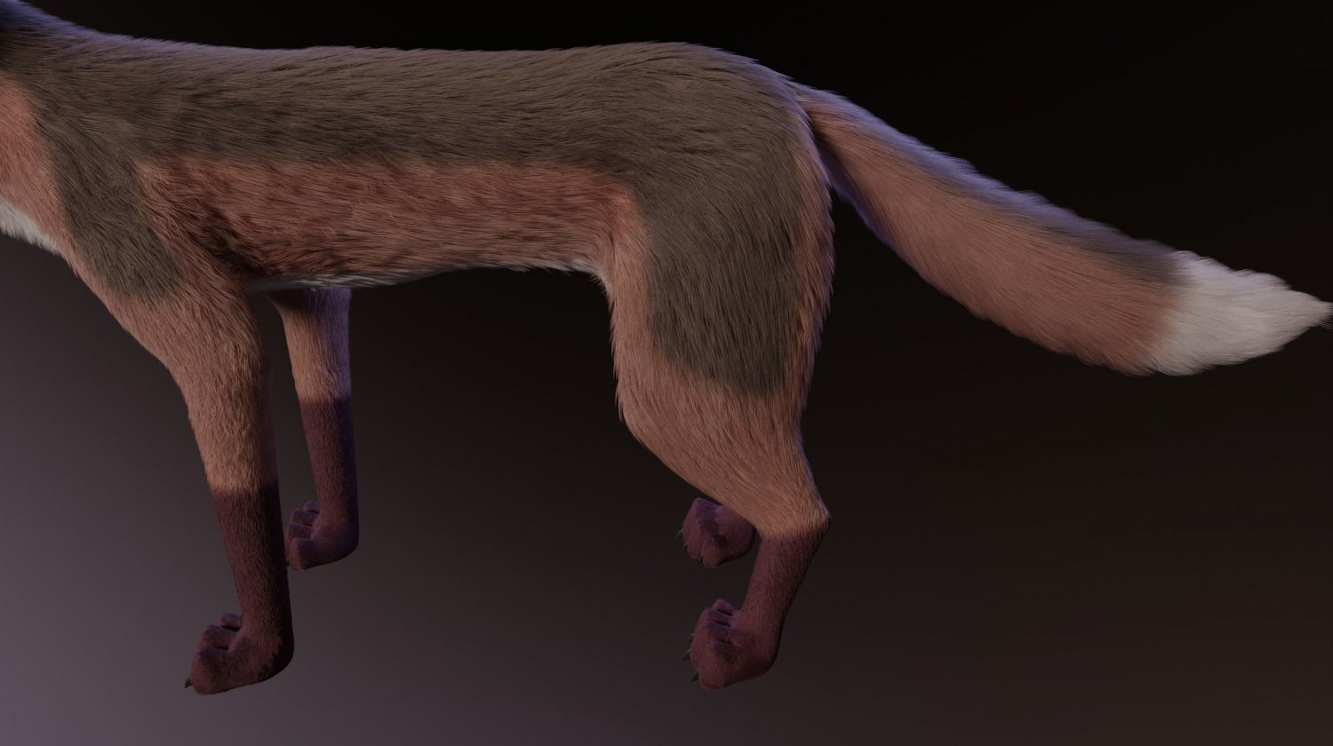 Fox 3d model