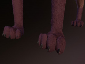 lilly the fox 3D Model
