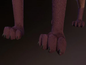 lilly the fox 3D Model