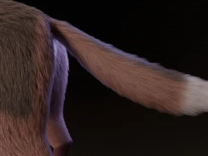 lilly the fox 3D Model