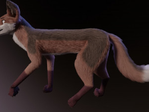 lilly the fox 3D Model