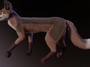 lilly the fox 3D Model