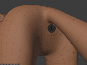 lilly the fox 3D Model