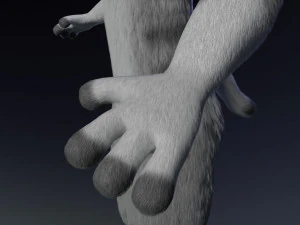 natasha evans 3D Model