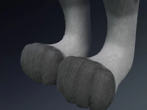 natasha evans 3D Model